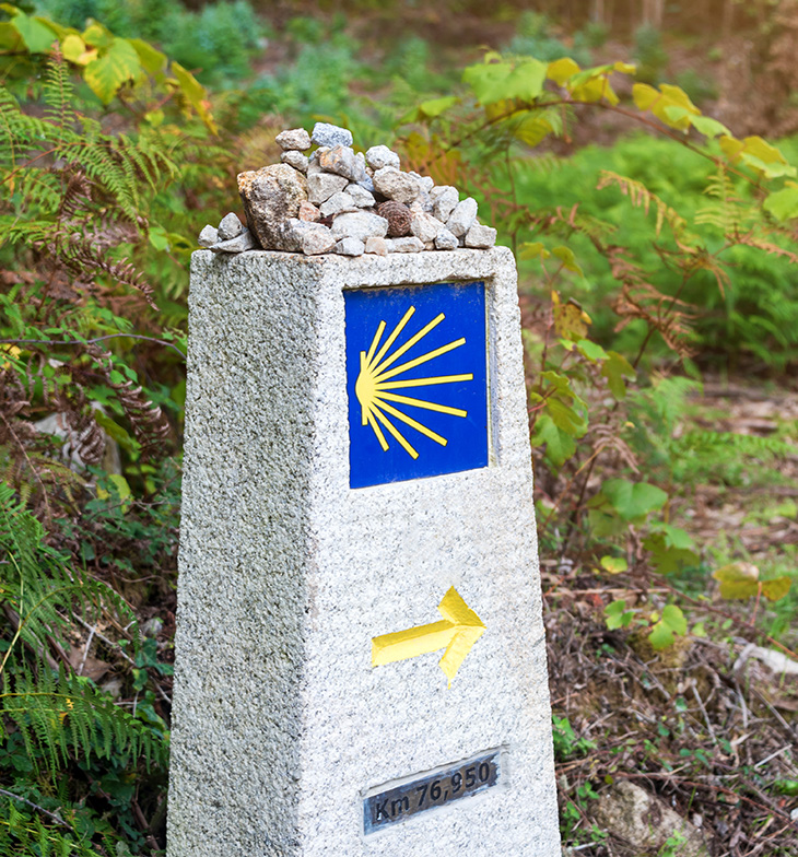 Imagen senal del Camino de Santiago